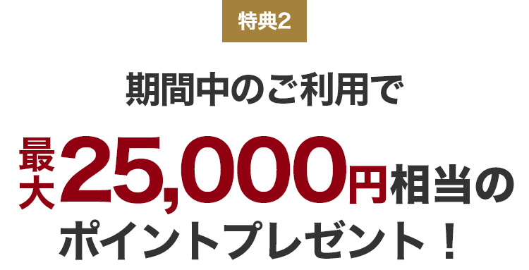 特典2 期間中のご利用で最大25,000円相当のポイントプレゼント！